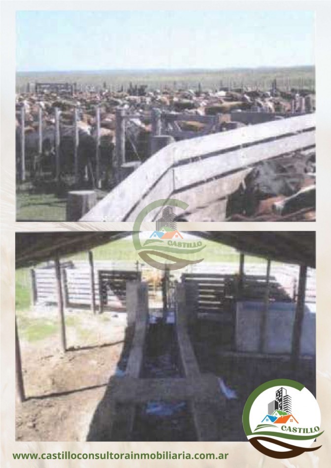 41539 Ha Mixto - Ituzaingo - Corrientes