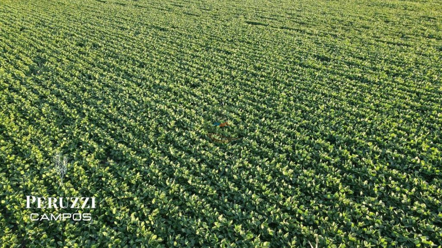 156 ha Mixtas - Diaz - San Jeronimo - Santa Fe