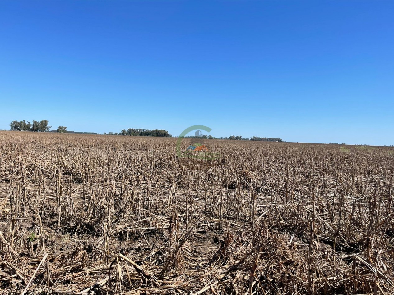 102 ha Agricolas - 25 de Mayo 