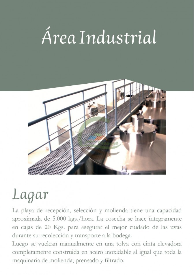 Bodega - Cafayate