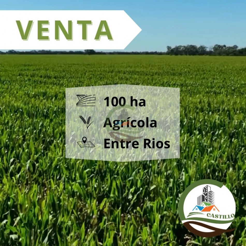 100 Ha Agricolas + 1145 Ha. de Isla - Entre rios