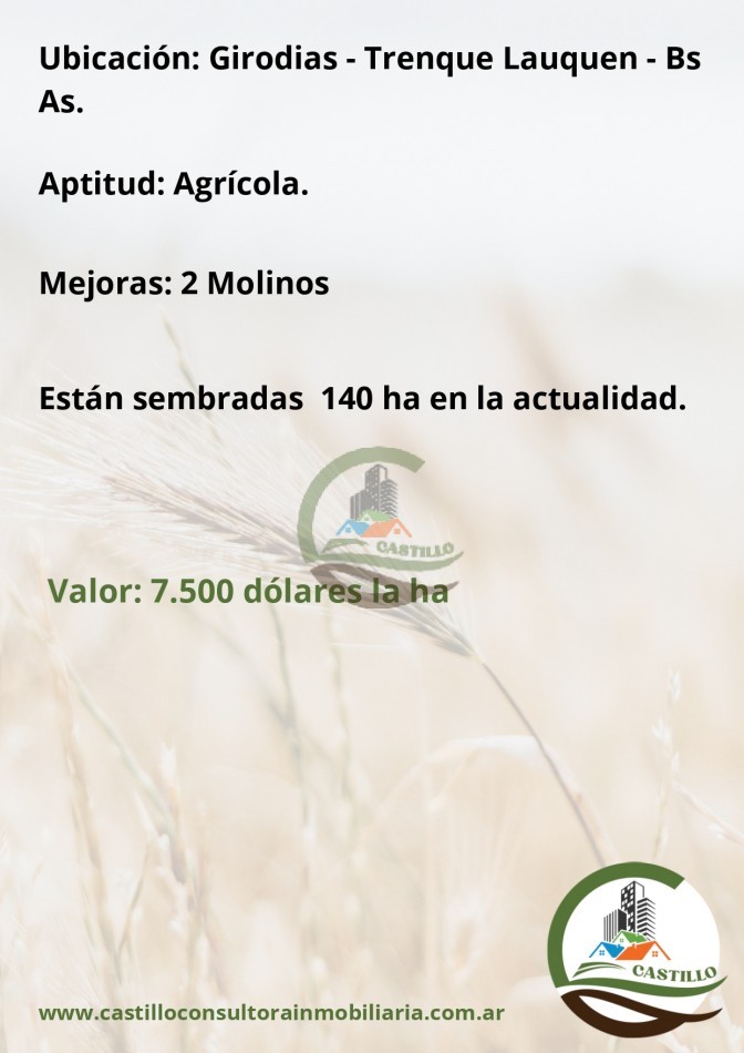 157 ha agricolas - trenque lauquen