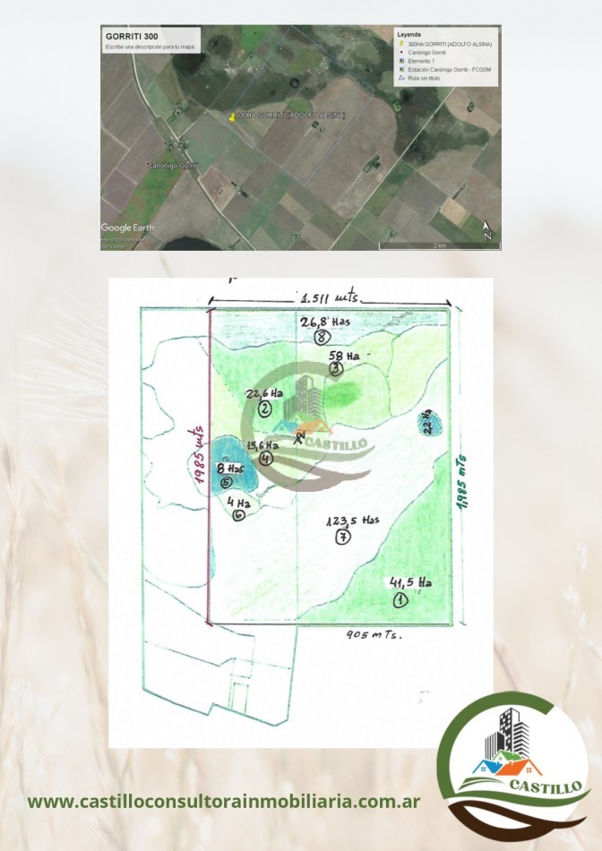 300 ha mixtas - adolfo alsina