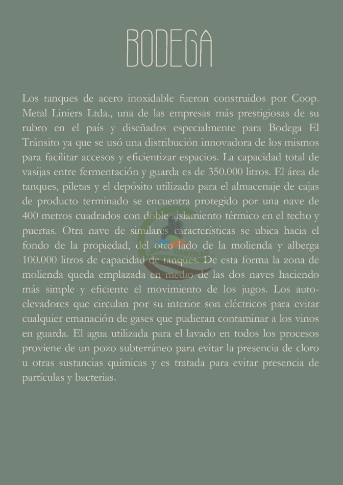 Bodega - Cafayate