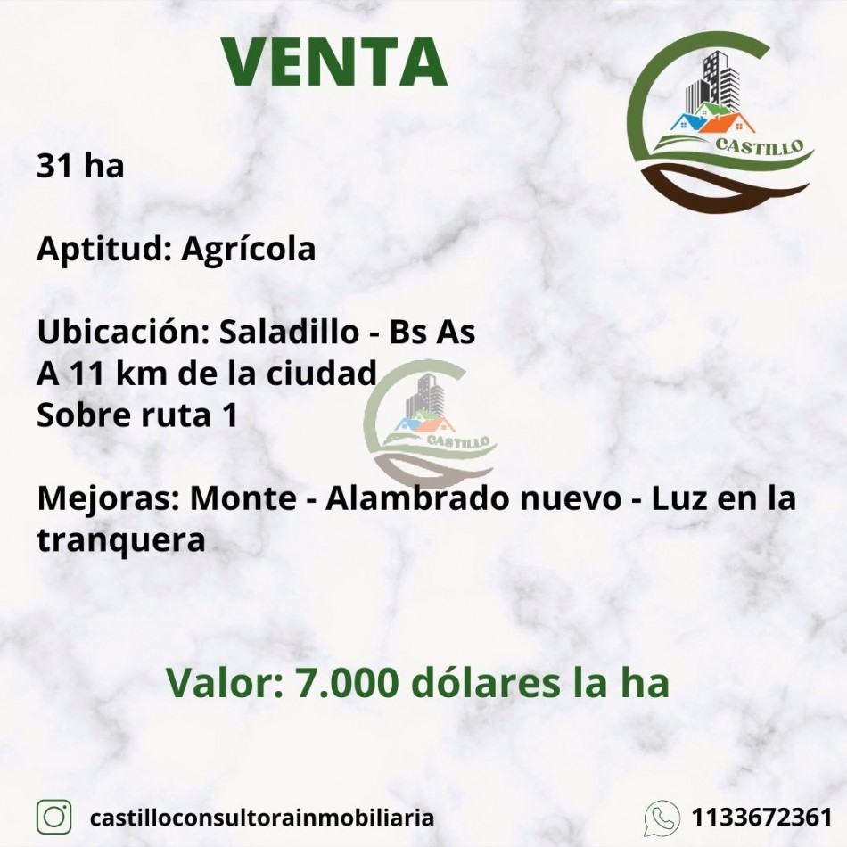 31 ha Agricolas - Saladillo 
