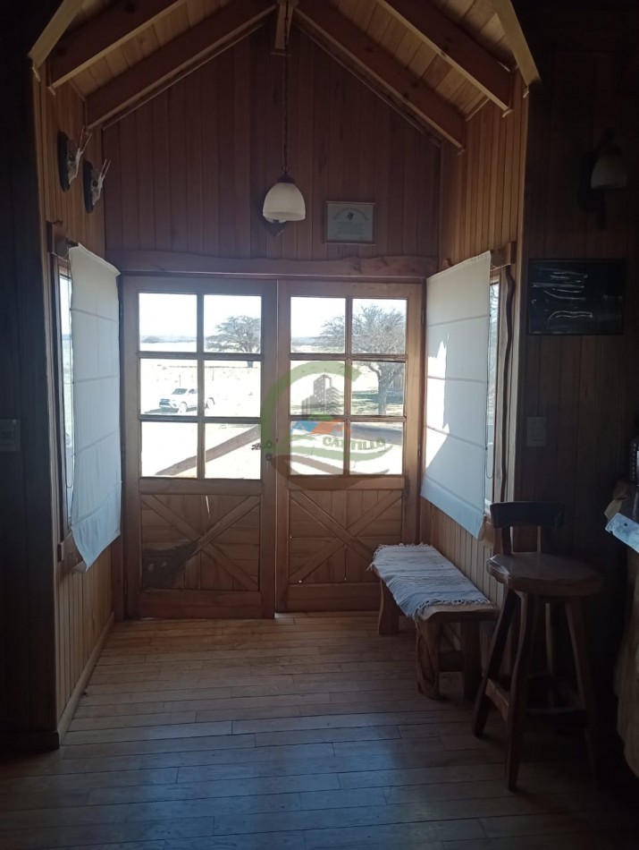 2500 ha Coto de caza - Quehue - La Pampa