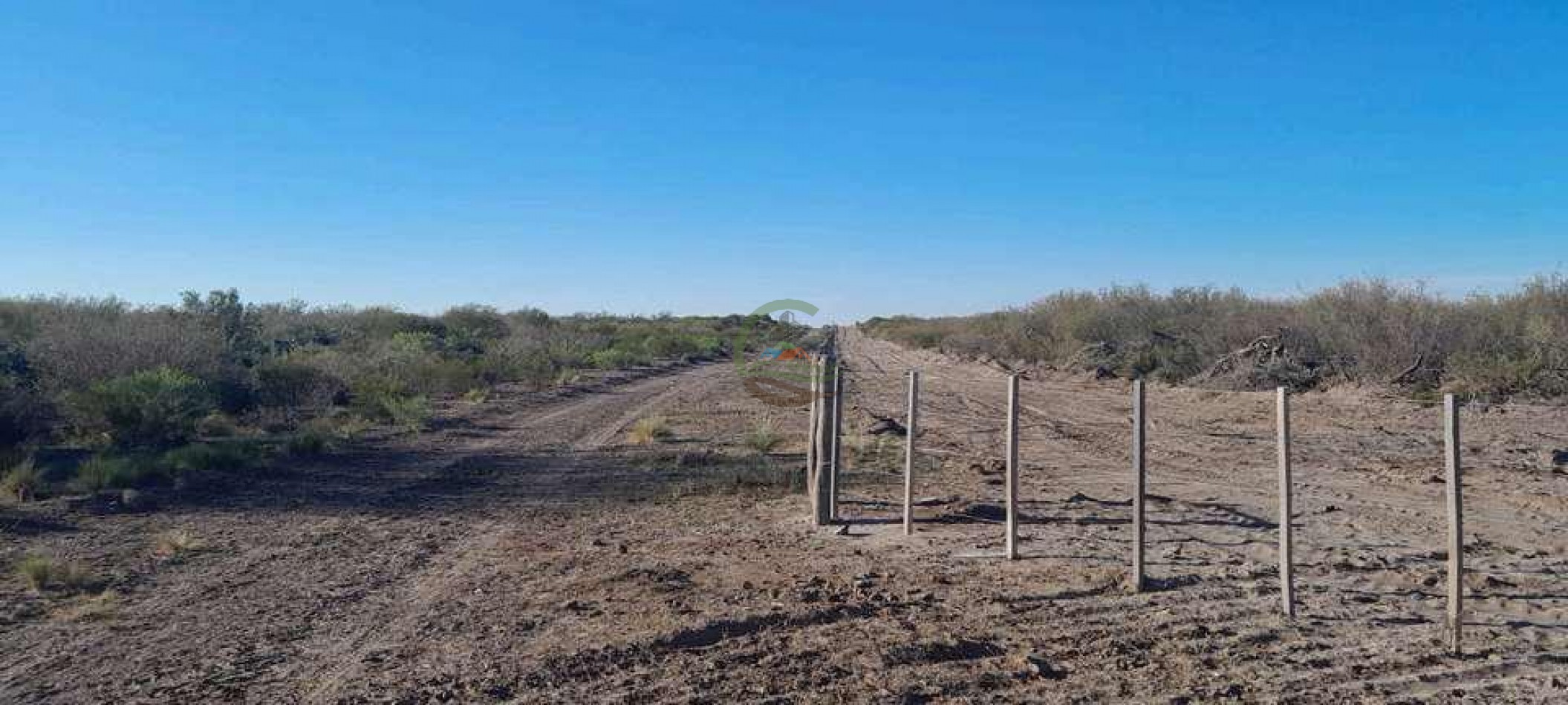 2417 Ha Ganadero (Feedlot) - Gral Alvear - Mendoza