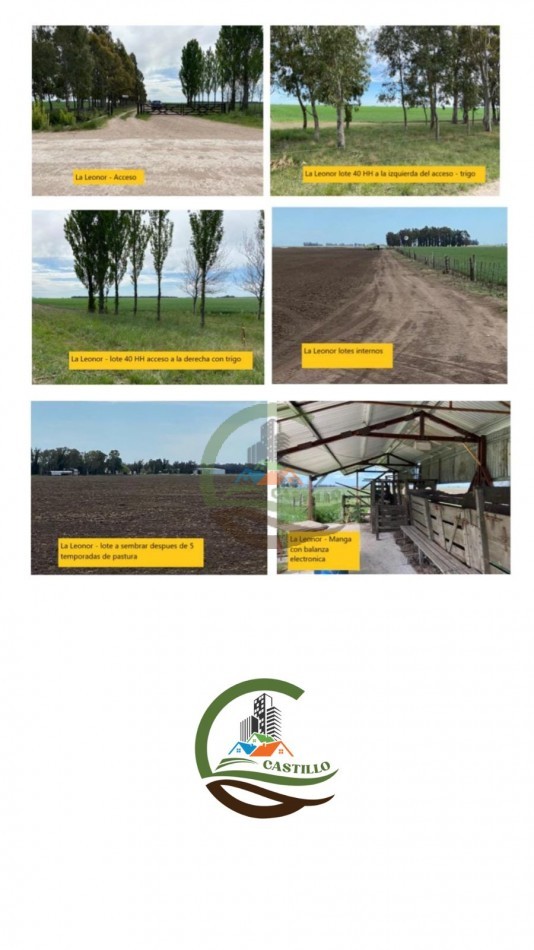 505 ha Agricolas - San Cayetano