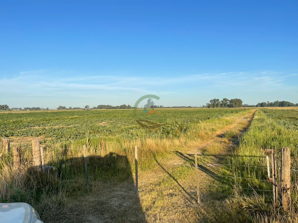 18 ha Mixtos - Pedernales