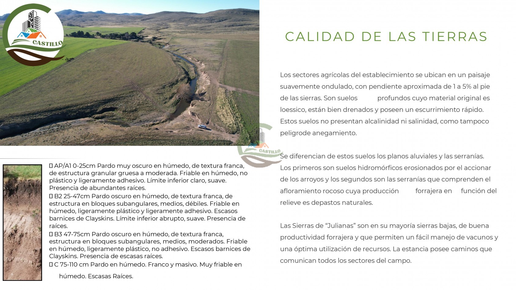 6570 ha Mixtas - Coronel Suarez