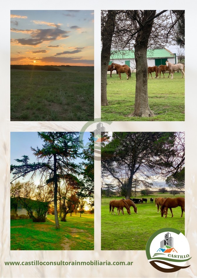 650 ha Mixto - Juan Couste