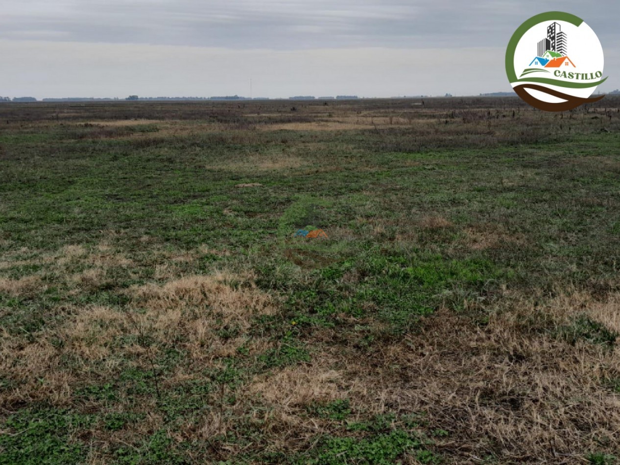 1025 ha mixta - saladillo