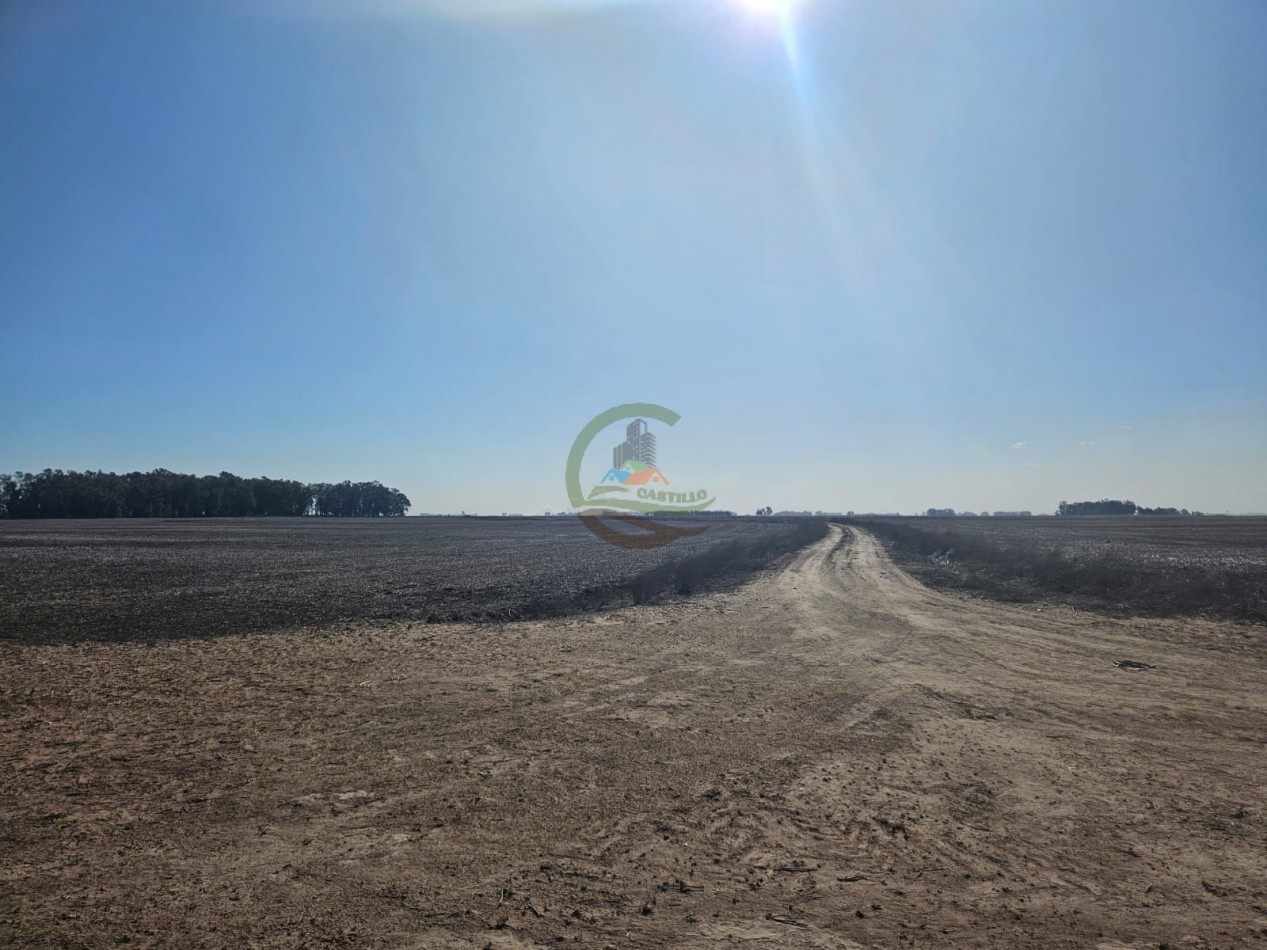 797 ha Agricolas - Bolivar