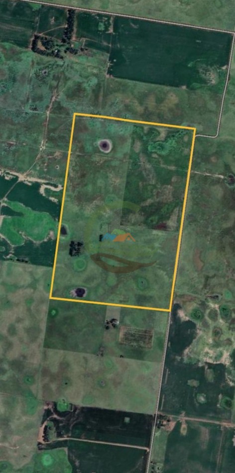 120 Ha Ganadero - Santa Isabel - Gral Alvear
