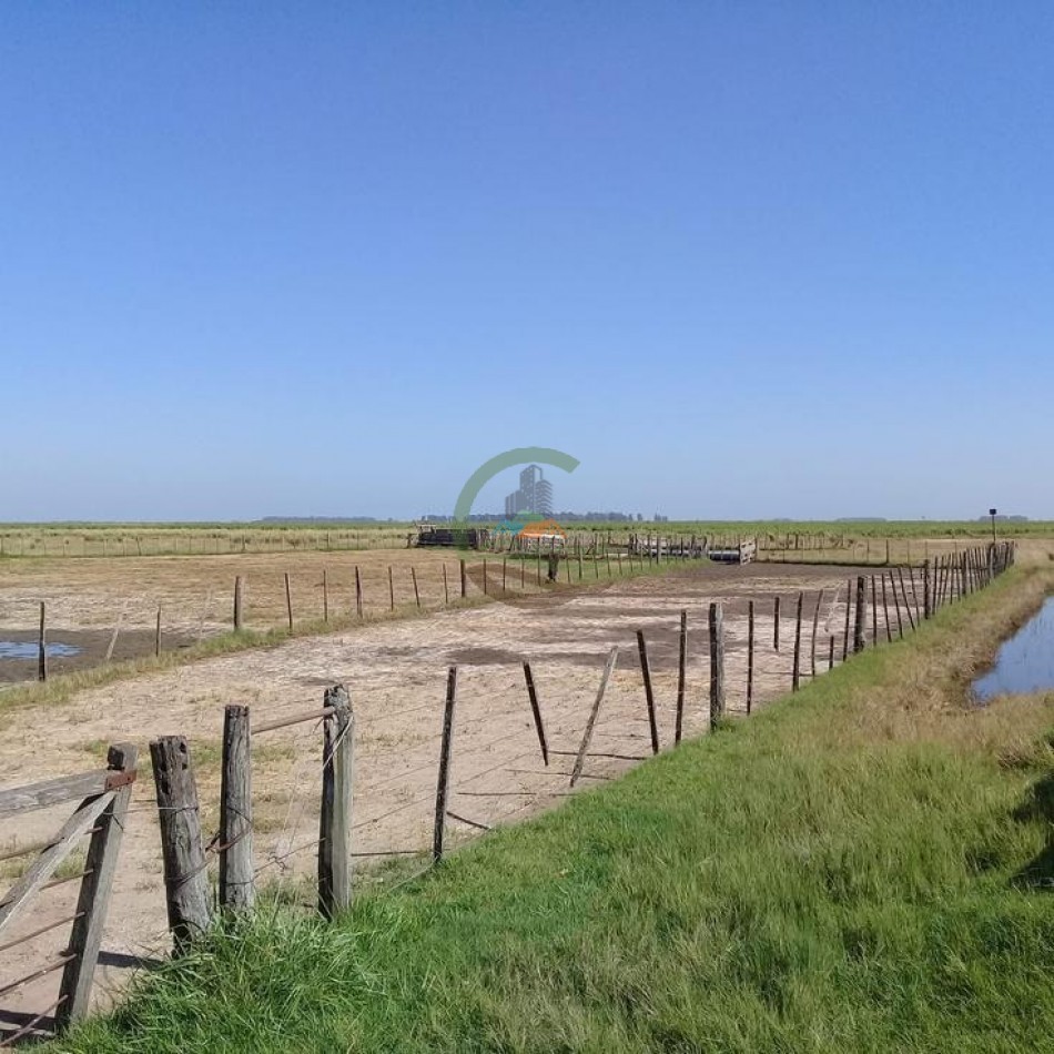 510 Ha Mixtos - Cnel Roseti - Santa Fe 