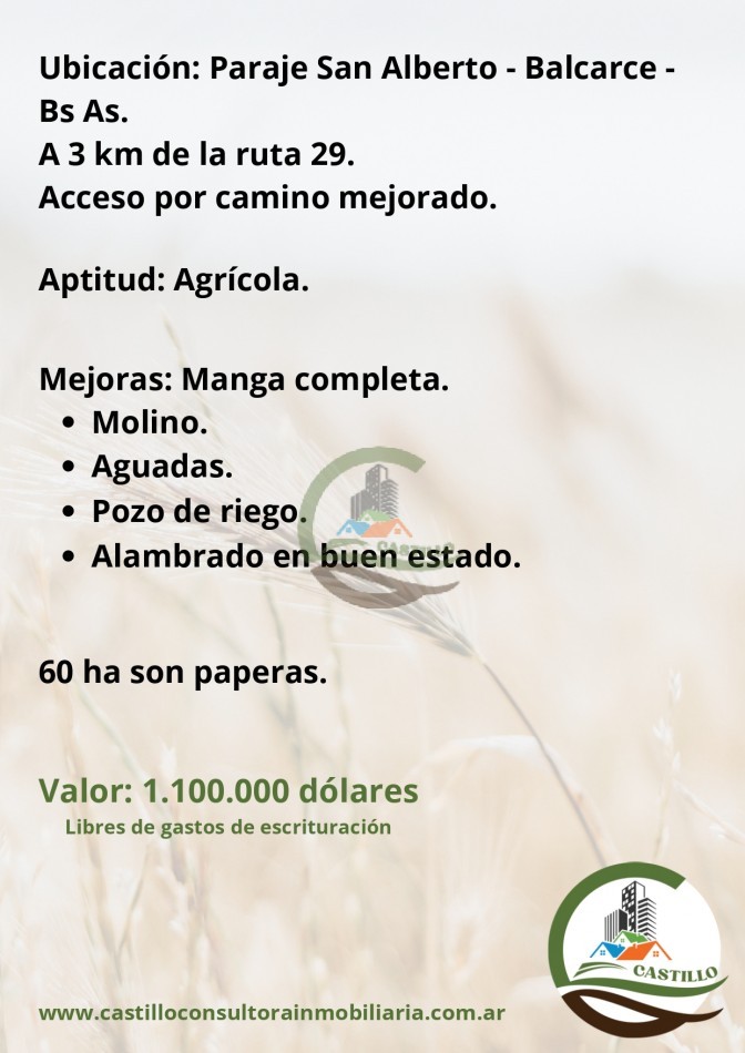 116 ha agricolas - balcarce 