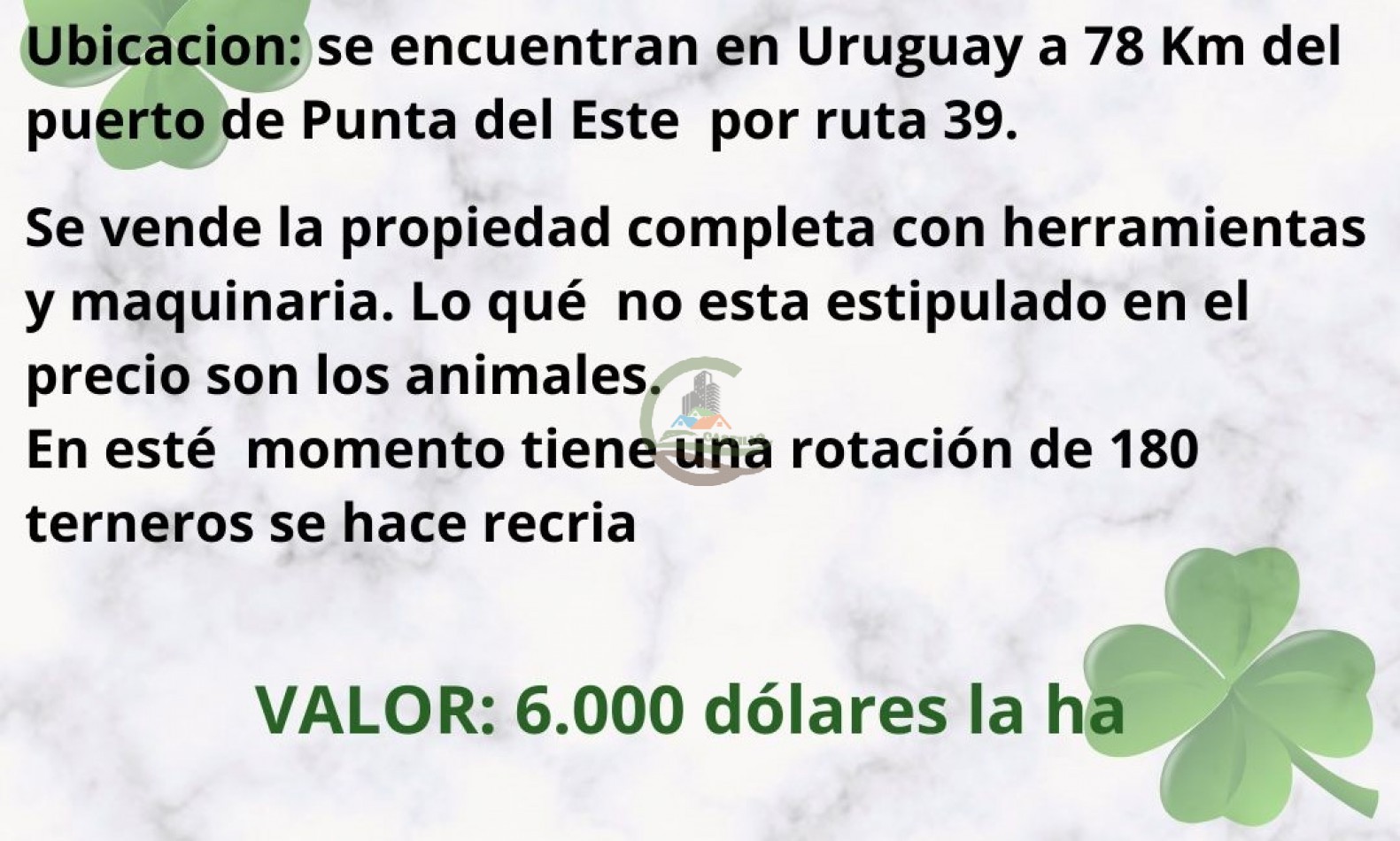 155 ha Ganaderas - Uruguay