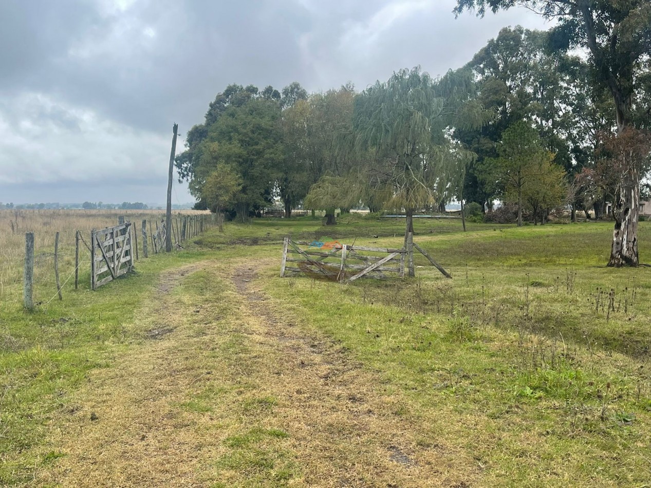 47 ha Ganadera - Olavarria