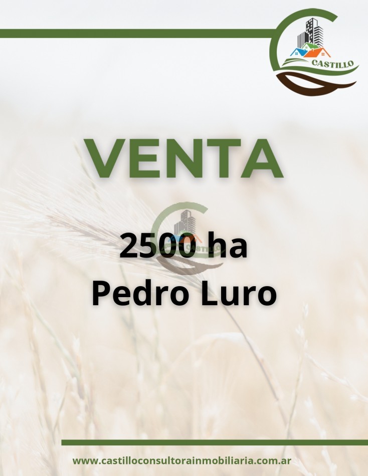 2500 ha mixtas - pedro luro