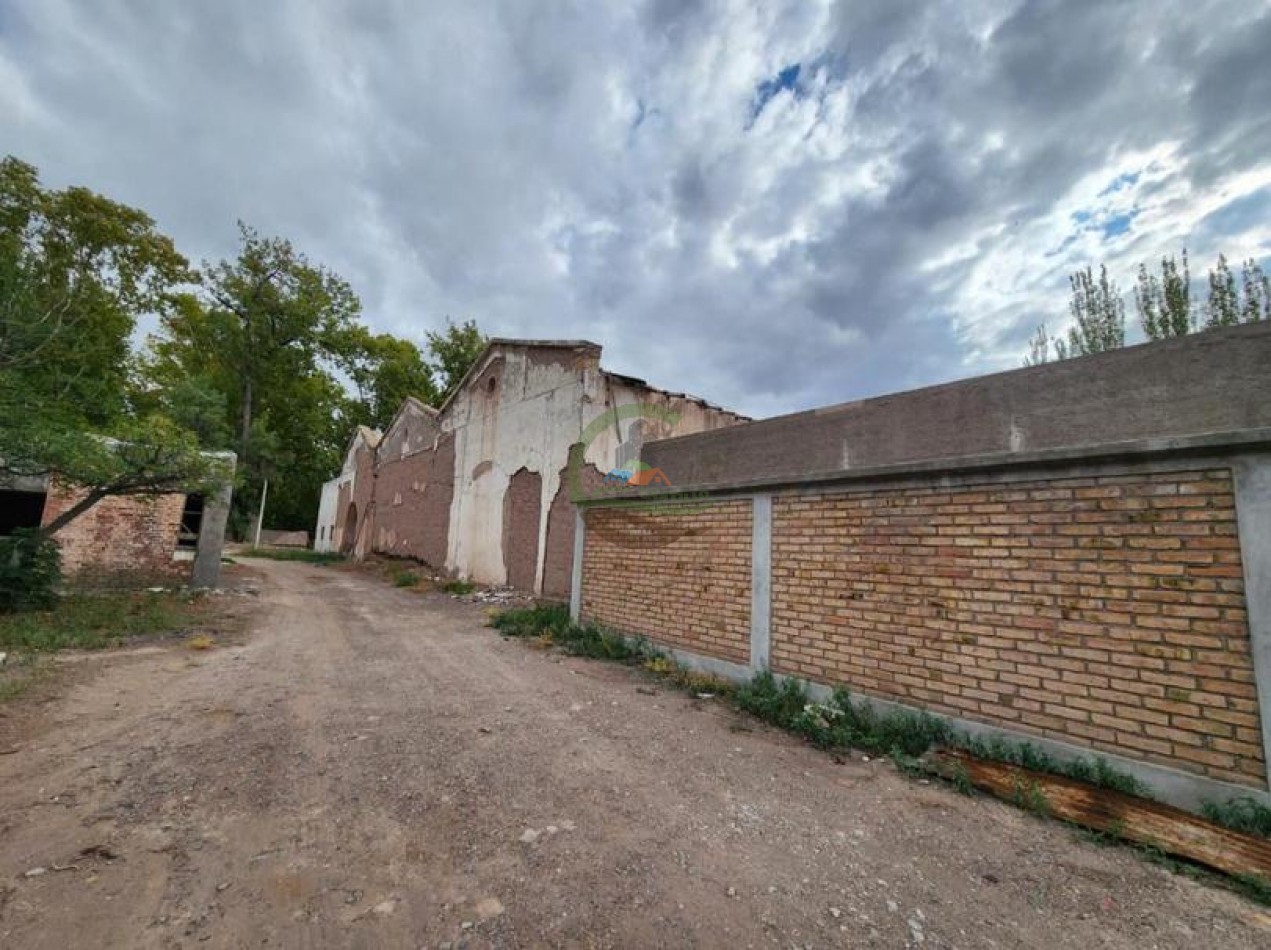 80 Ha Agricolas - San Martin - Mendoza