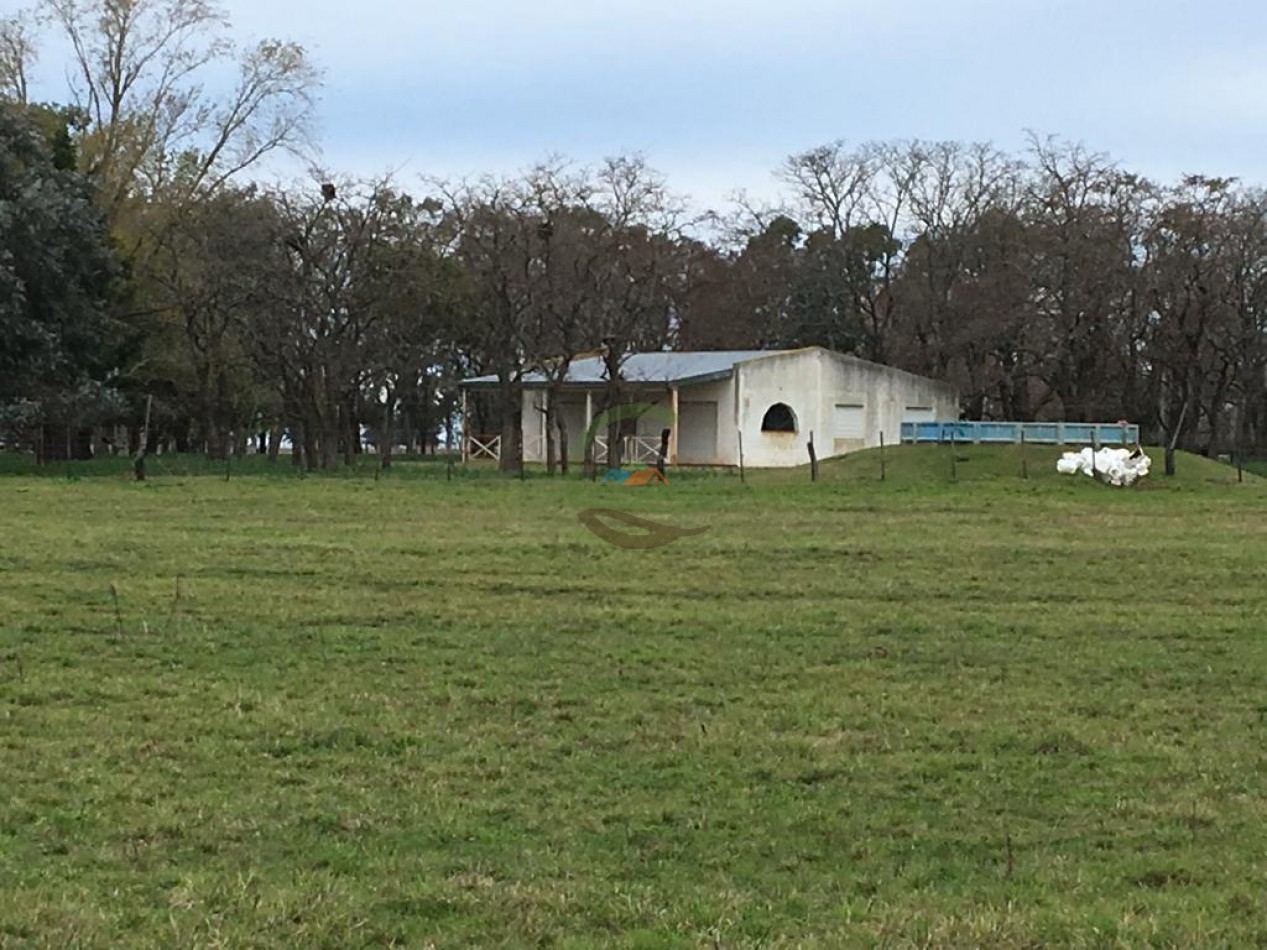 380 ha Mixtas - Bolivar