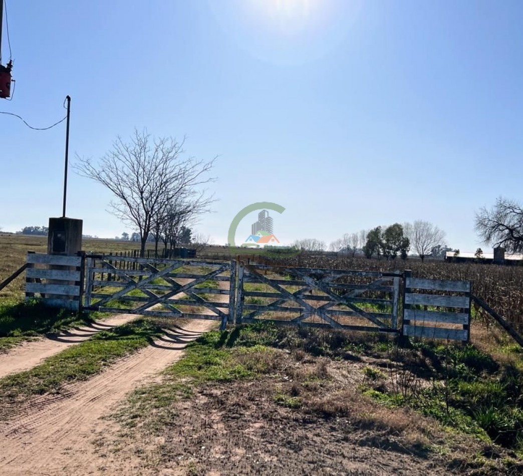 3 ha agricolas - polvaredas