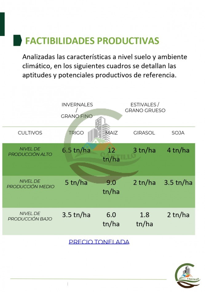 315 ha Mixto - Balcarce