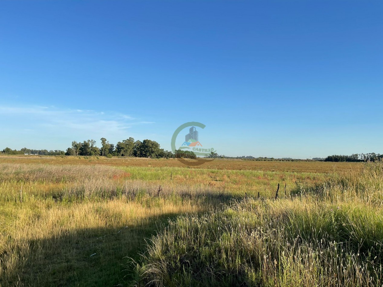 18 ha Mixtos - Pedernales