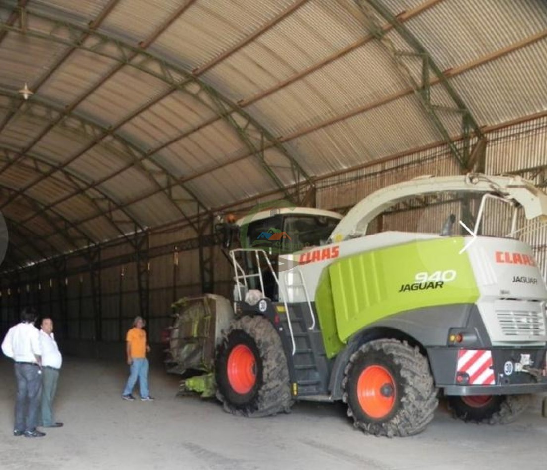 20421 ha Mixto - Campo Duran - Salta