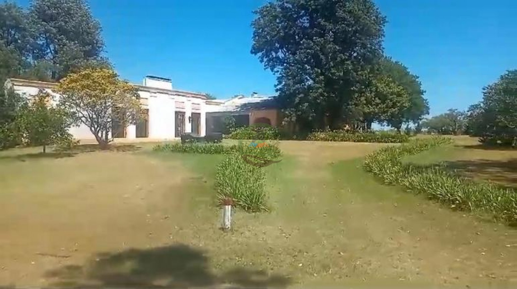 935 Ha Mixto - Nogoya - Entre Rios