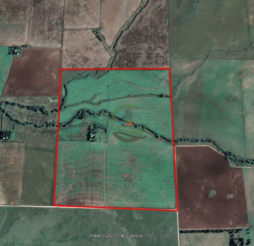 100 ha MIxtas - Sierras de la Ventana