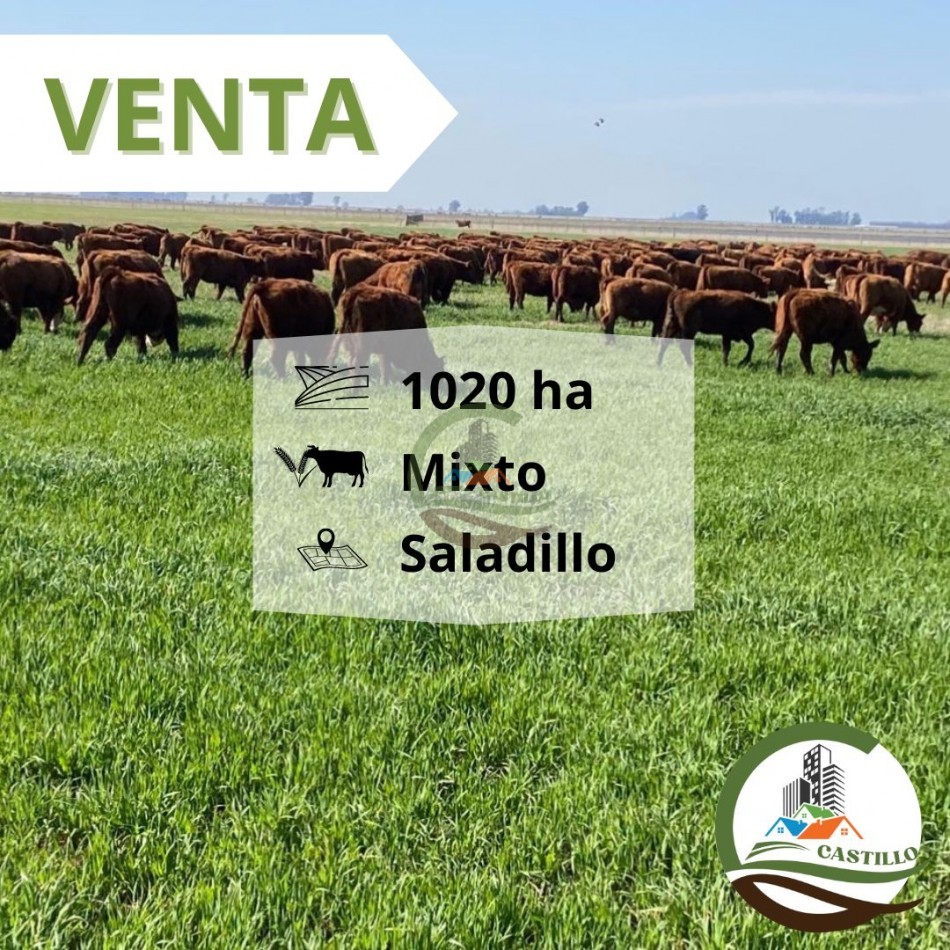 1025 ha mixta - saladillo
