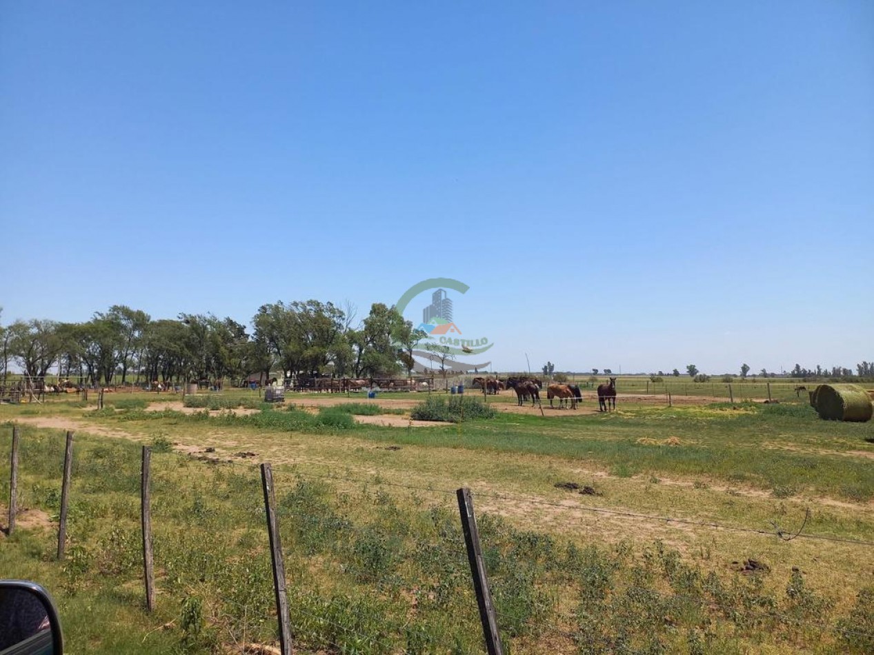 25 Ha Agricolas - Holmberg - Rio Cuarto