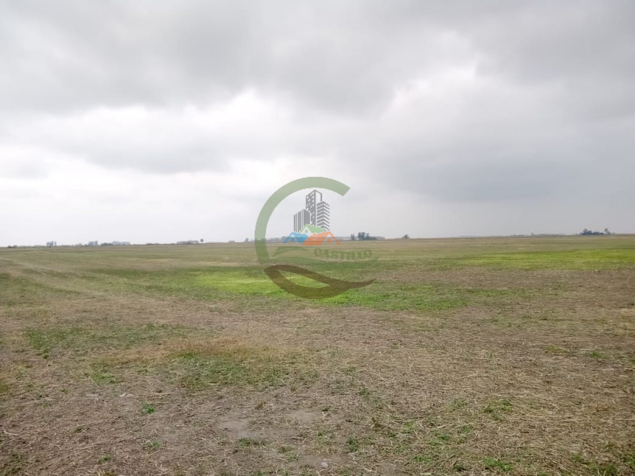 104 ha Agricola - Arequito Sta Fe