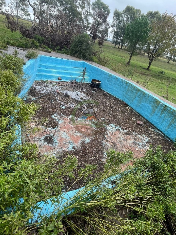 47 ha Ganadera - Olavarria