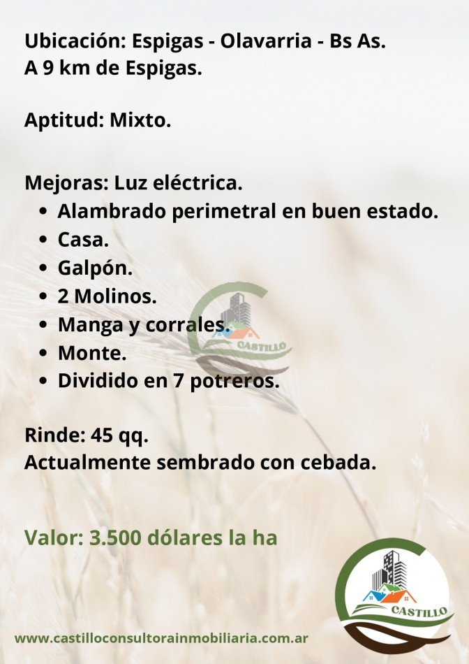 449 ha mixtas - olavarria