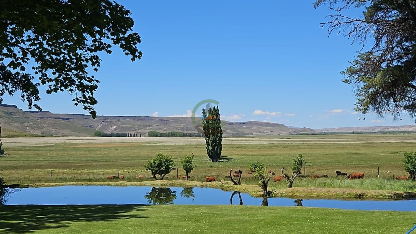 4047 Ha Ganadero - Coto de Caza - La Rinconada - Neuquen