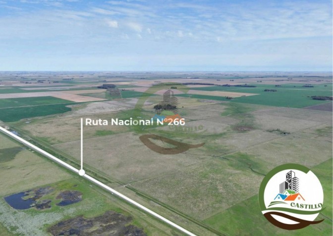 204 ha mixtas - olavarria