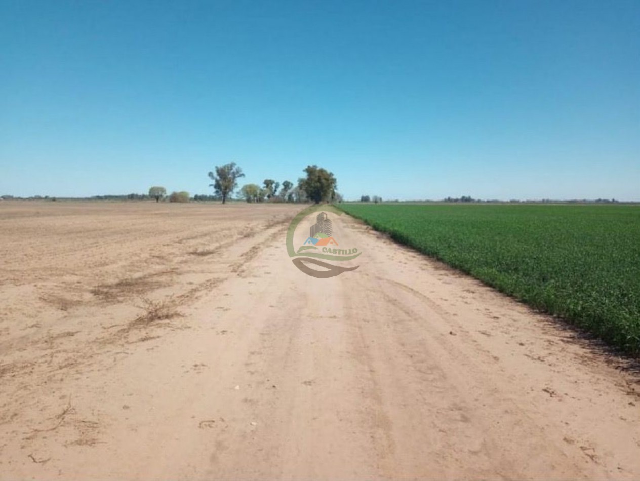 595 ha Agricolas - Pergamino