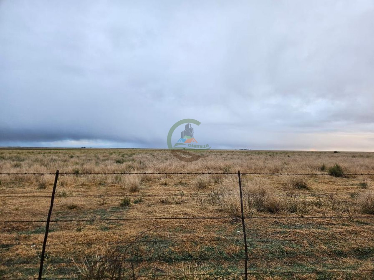 190 Ha Ganadero - Bahia Blanca