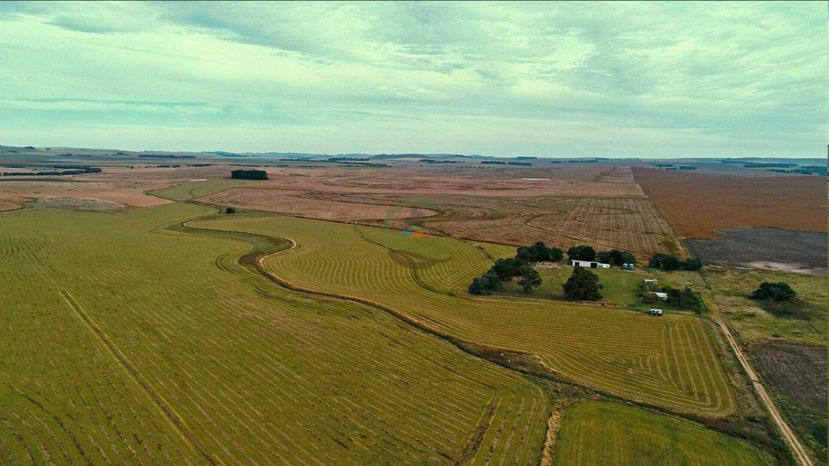 1007 Ha Agricolas - Tandil