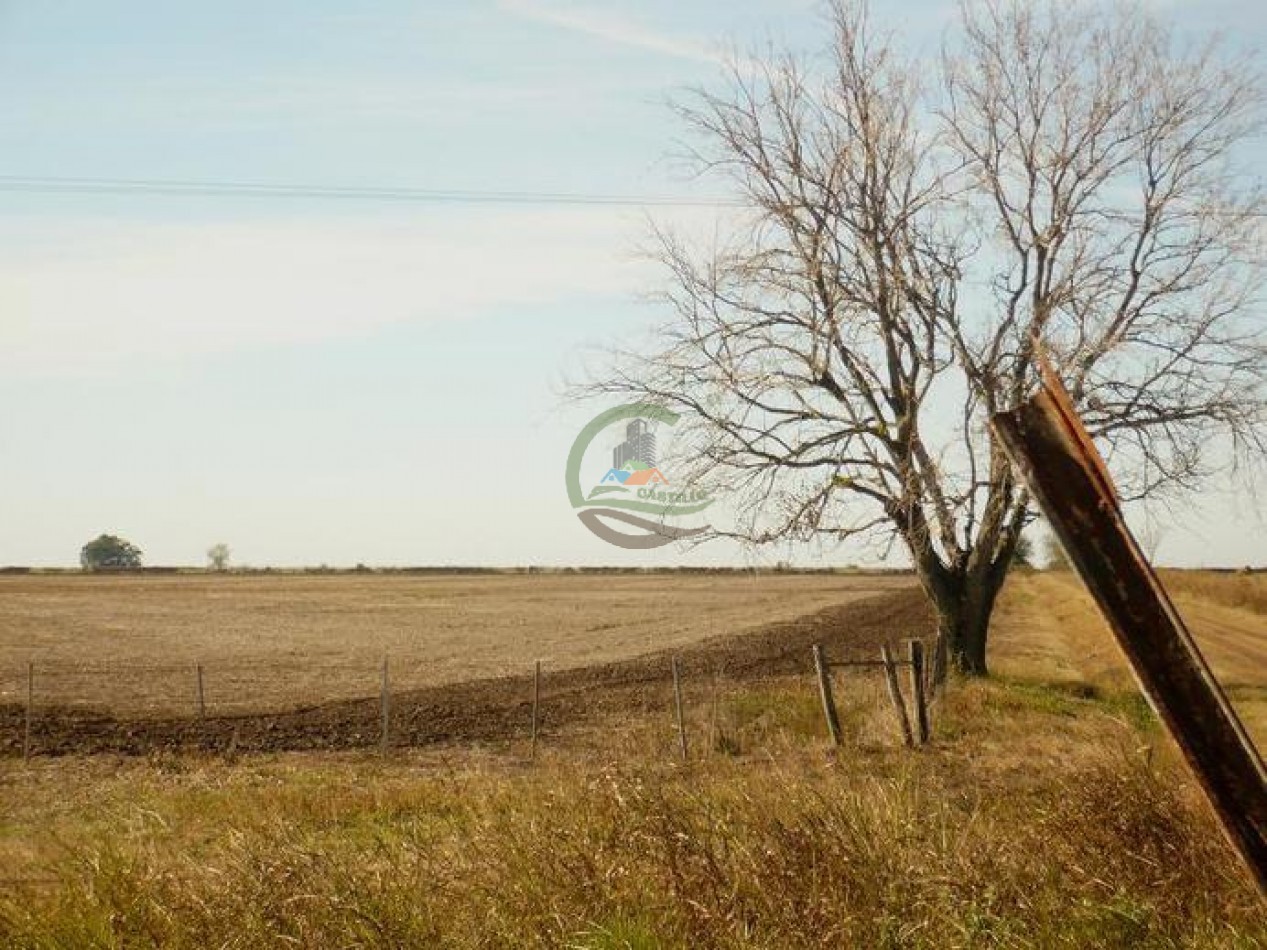 830 ha - Agricolas - Santa fe