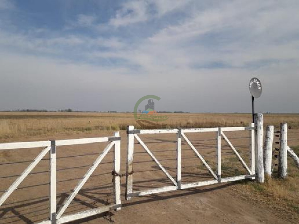 292 Ha Agricolas - Marucha - Carlos Tejedor