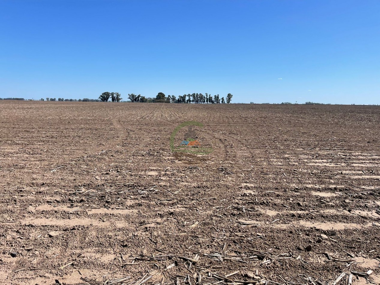 102 ha Agricolas - 25 de Mayo 