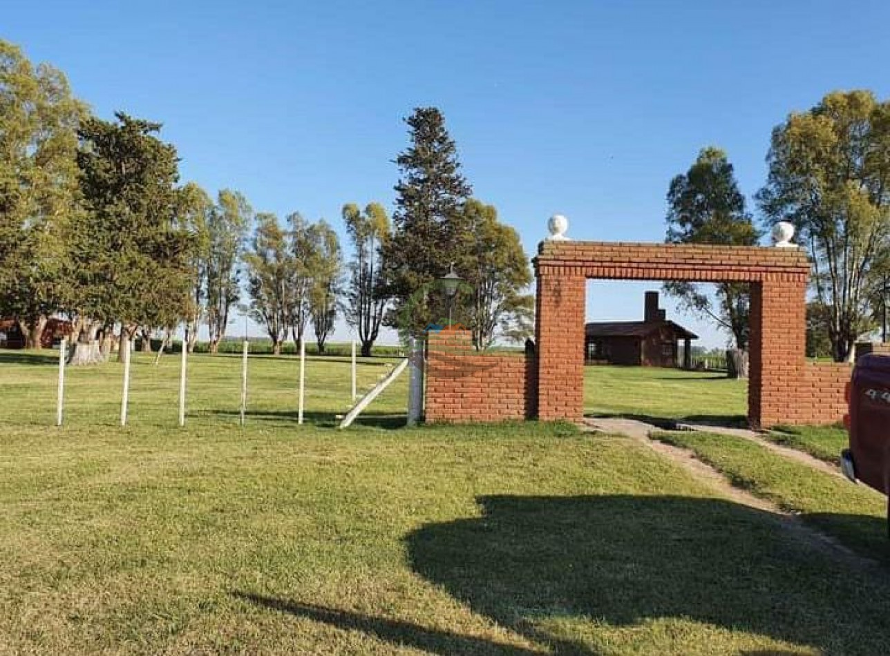 154 ha Mixtas - Gral Alvear