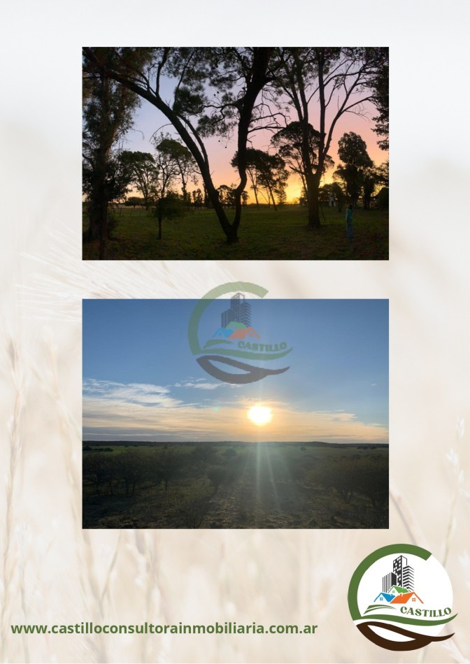 650 ha Mixto - Juan Couste