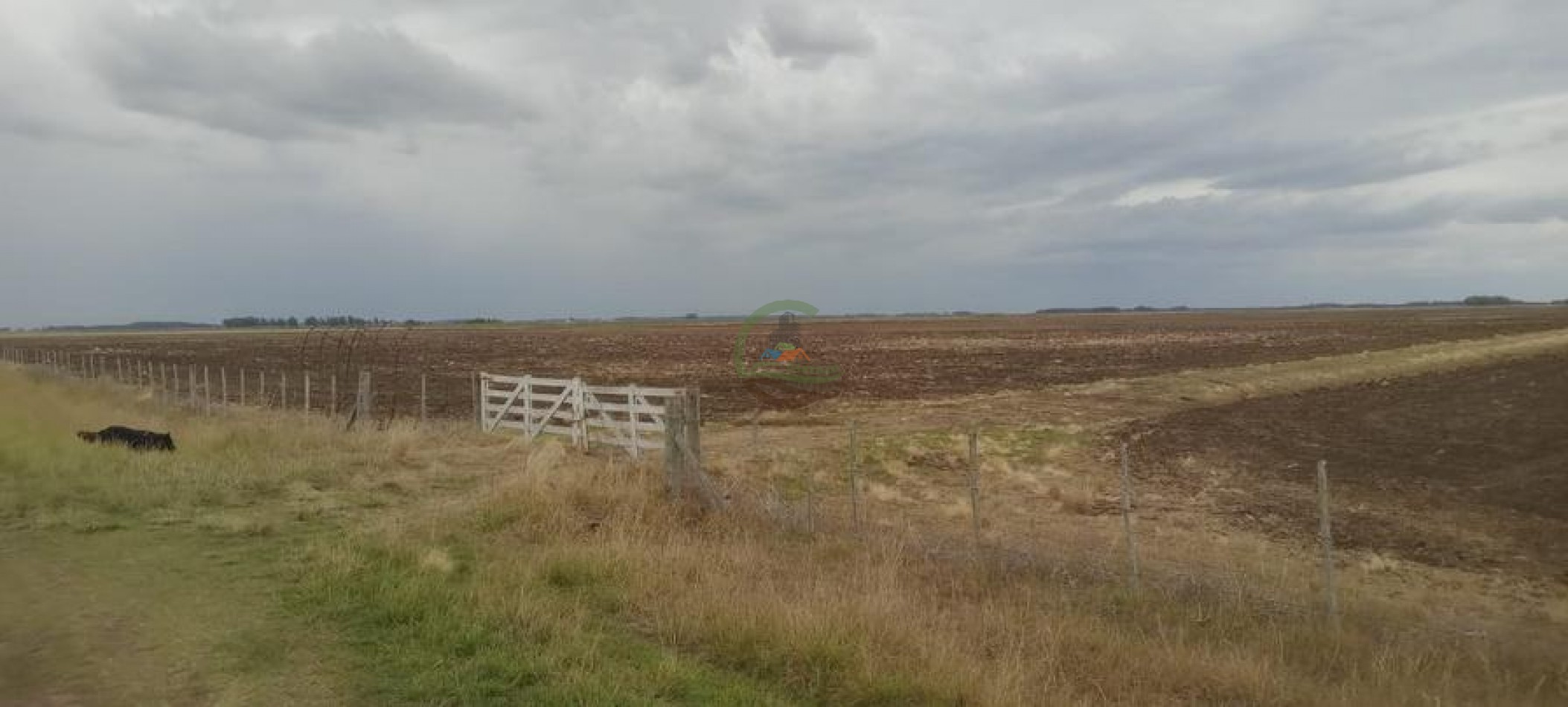 133 Ha Agricolas - Las Toscas - Loberia