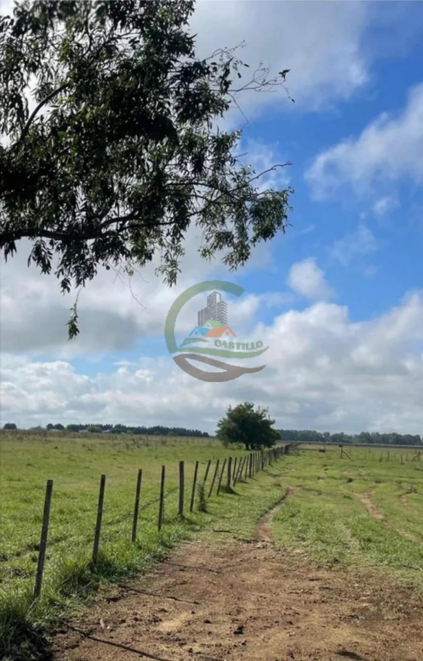 248 Ha Mixtas - Cañuelas