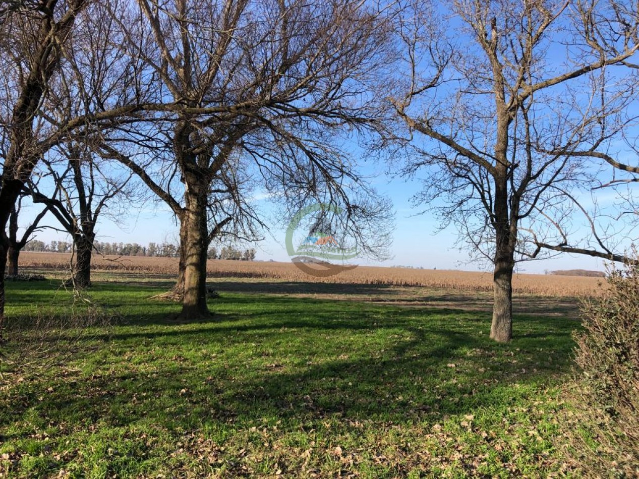 312 ha Agricolas - Cordoba