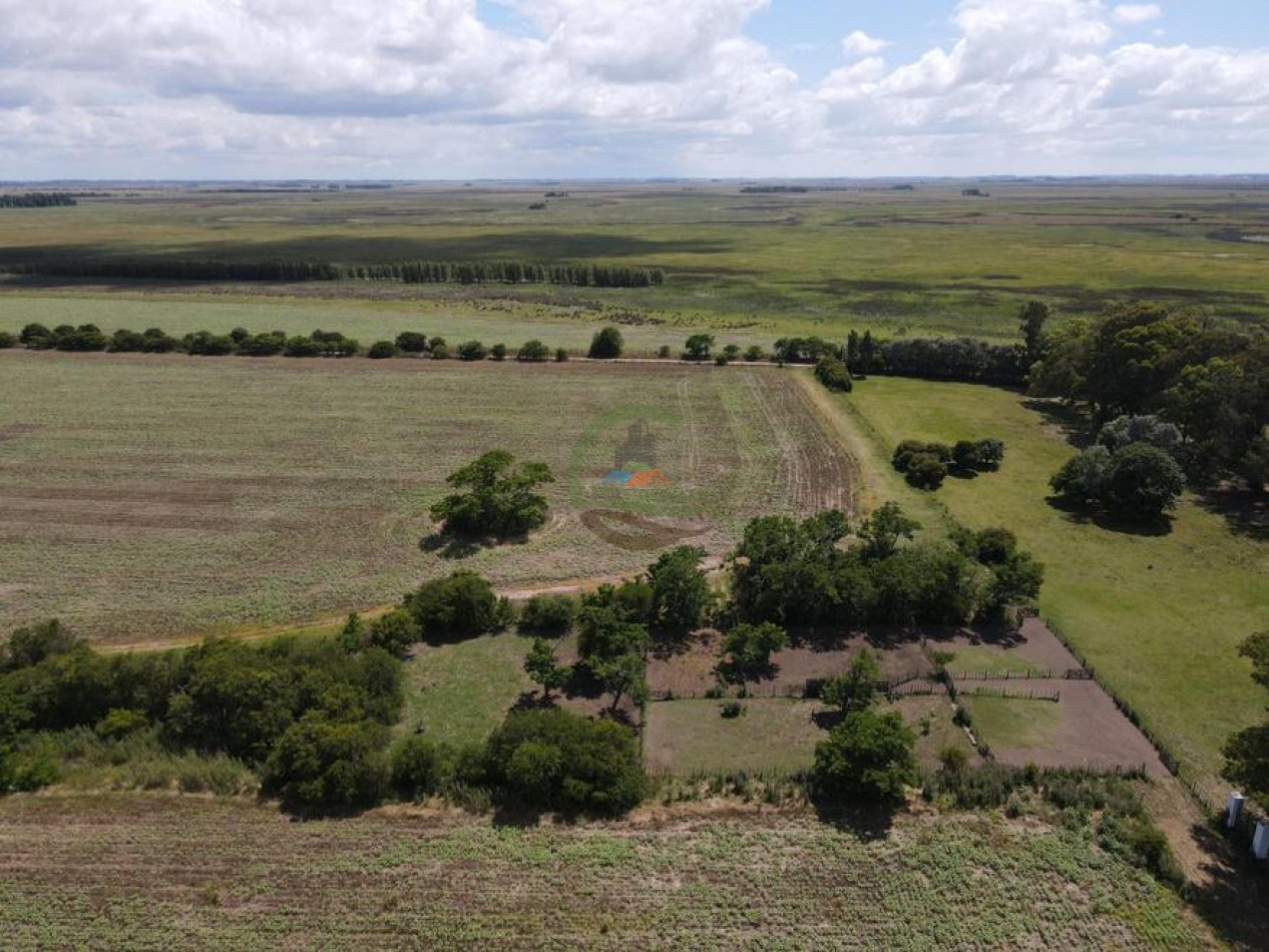 899 Ha Mixtas - Chascomus
